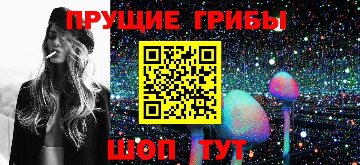 Псилоцибиновые грибы мицелий Тобольск
