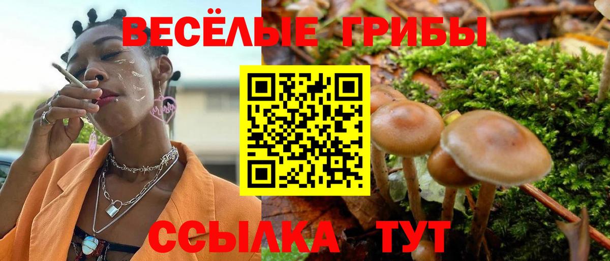 Галлюциногенные грибы Magic Shrooms  Вход с VPN  купить  цена  Тобольск 